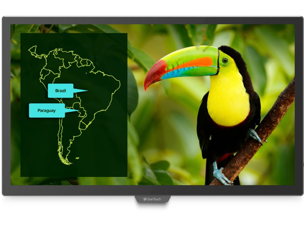 Clear Touch 65" 7000XE Series Interactive UHD Panel - Low Latency, PCAP Technology