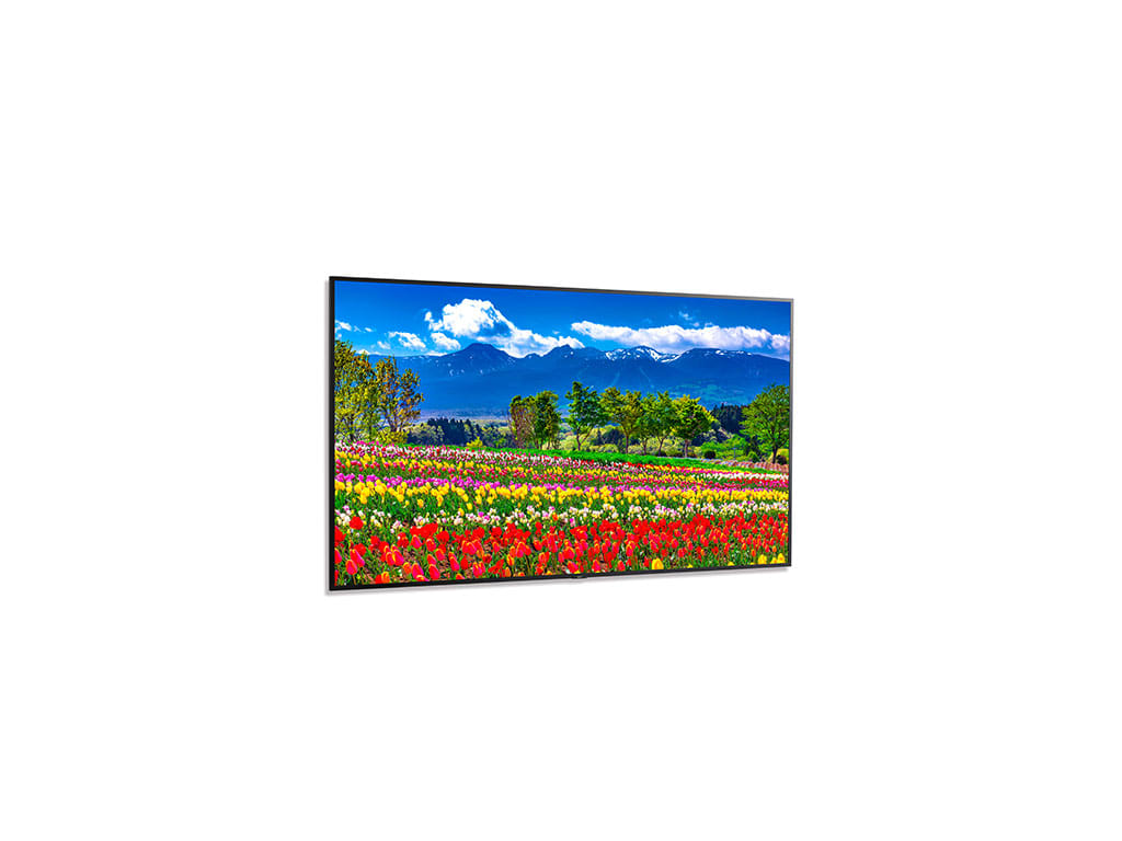 NEC M751 - 75" UHD Professional Display, 16:9 Aspect Ratio, IPS