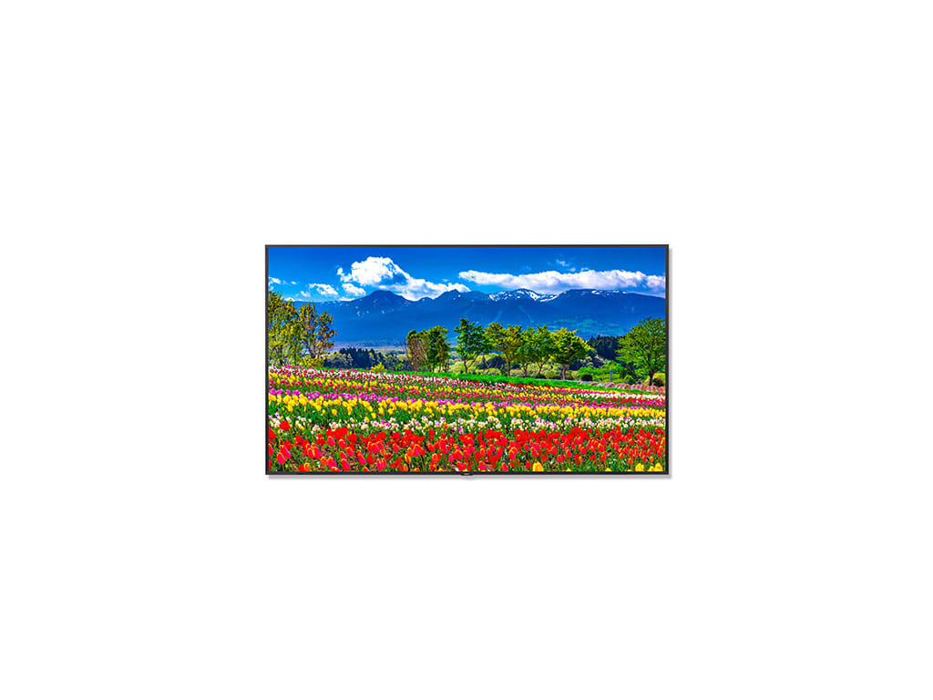 NEC M751 - 75" UHD Professional Display, 16:9 Aspect Ratio, IPS