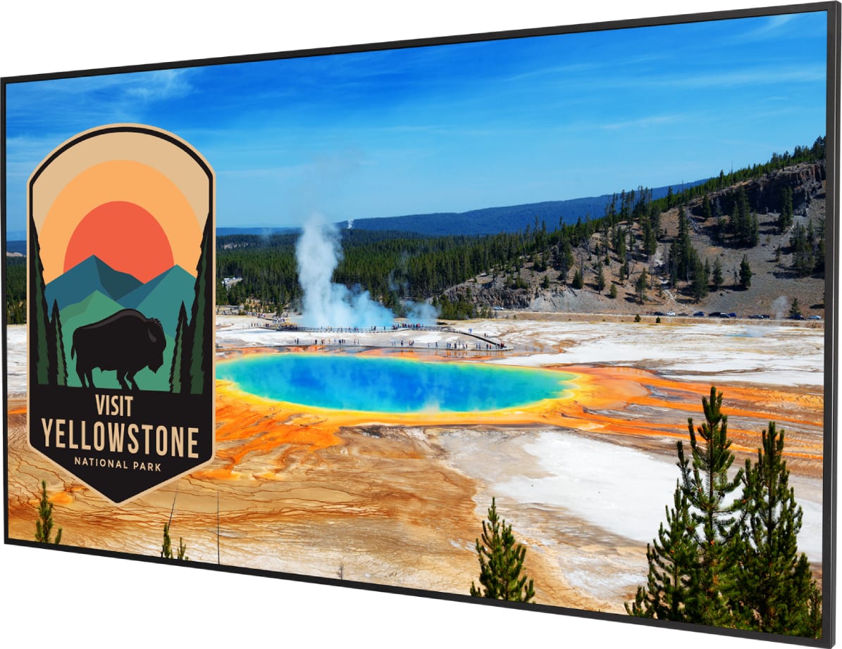 Planar Simplicity M Series 50" 4K LCD Display