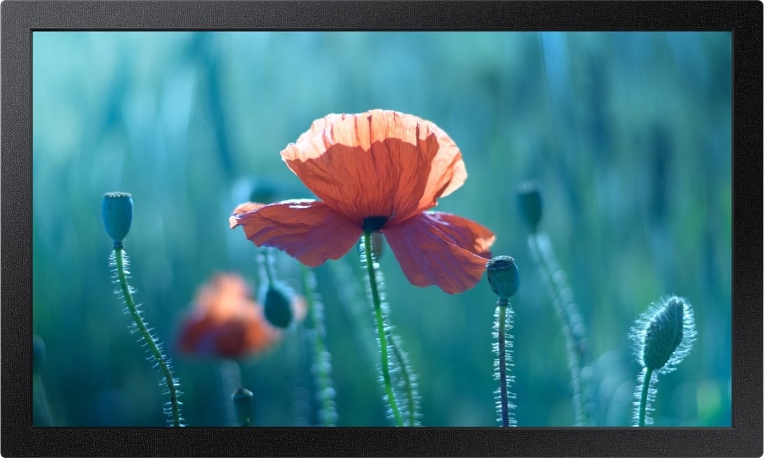 Samsung QB13R - 13" Edge-Lit LED Small Signage Display