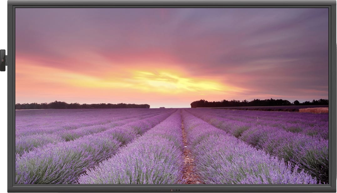 NewLine TRUTOUCH 980NT - 98" Ultra-HD LED Display